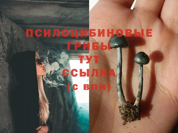 скорость Зерноград