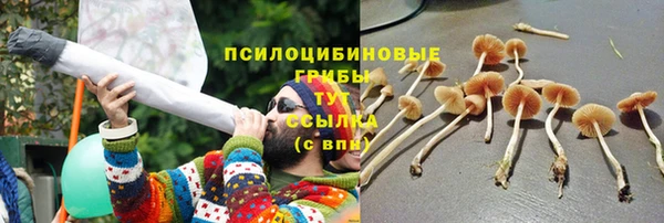 скорость Зерноград